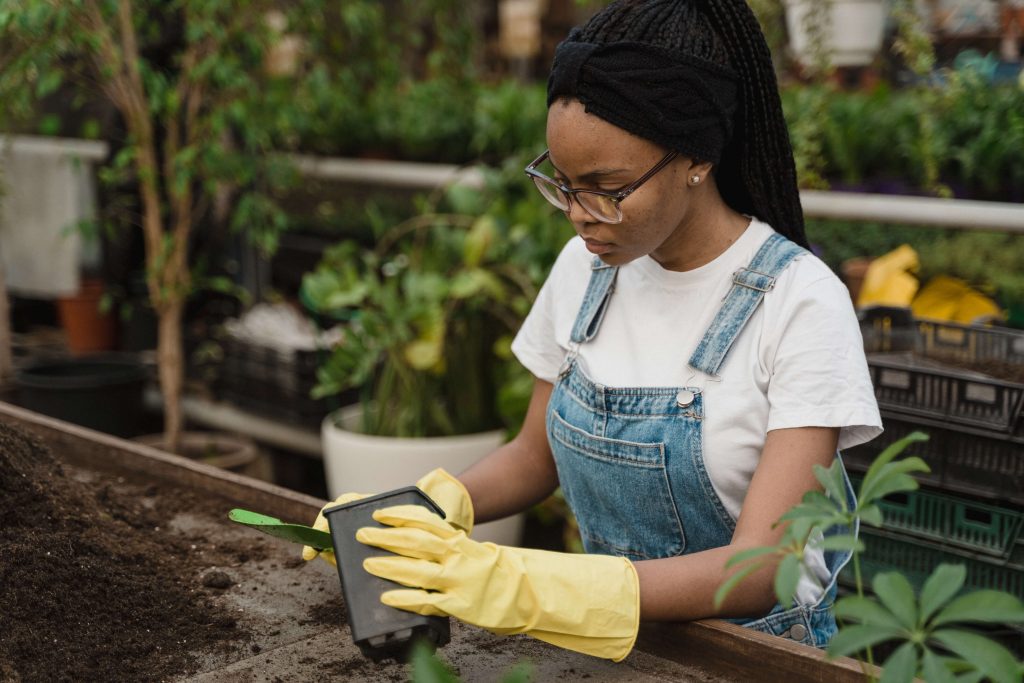 history-of-Greenhouses