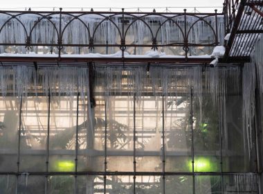 best-greenhouse-heaters-reviewed