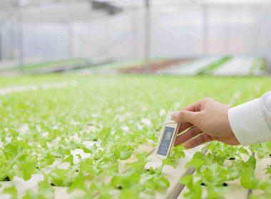 best-greenhouse-thermometers-and-hygrometers