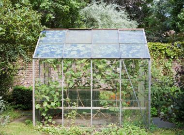 best-indoor-greenhouses