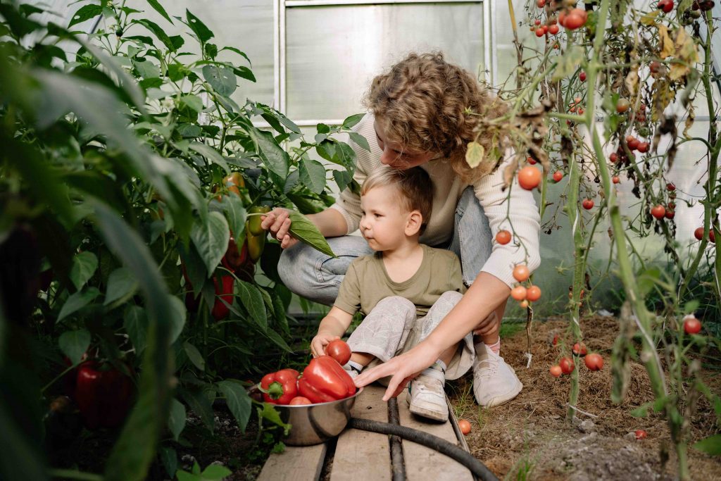 cons-of-portable-greenhouses