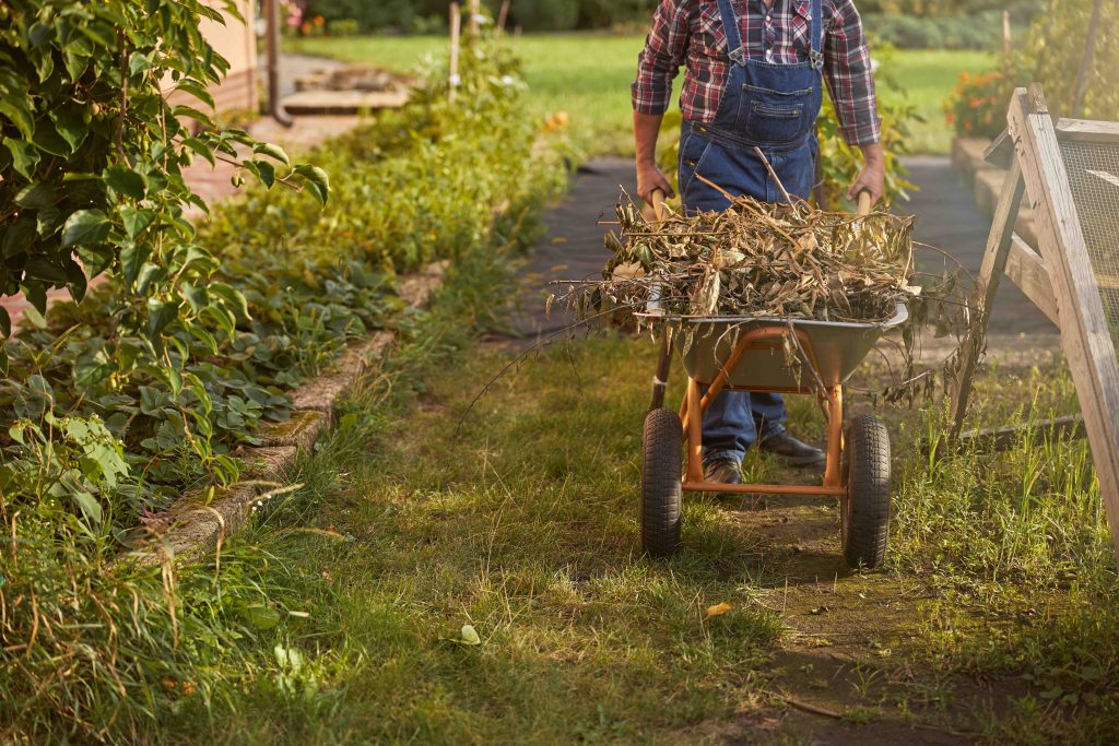 create-compost