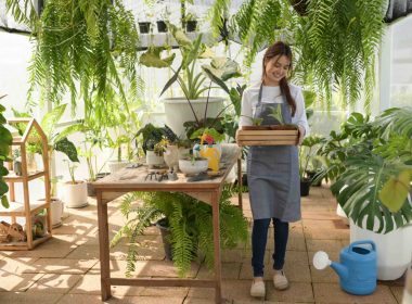 how-to-heat-a-greenhouse