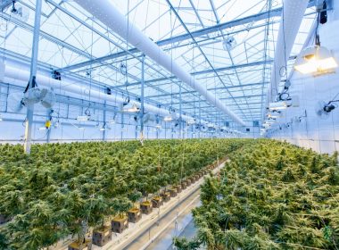 do-greenhouses-need-ventilation