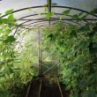 how-to-build-a-greenhouse-step-by-step