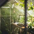 how-to-install-and-adjust-an-automatic-greenhouse-vent-opener