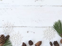how-to-prepare-your-greenhouse-for-winter