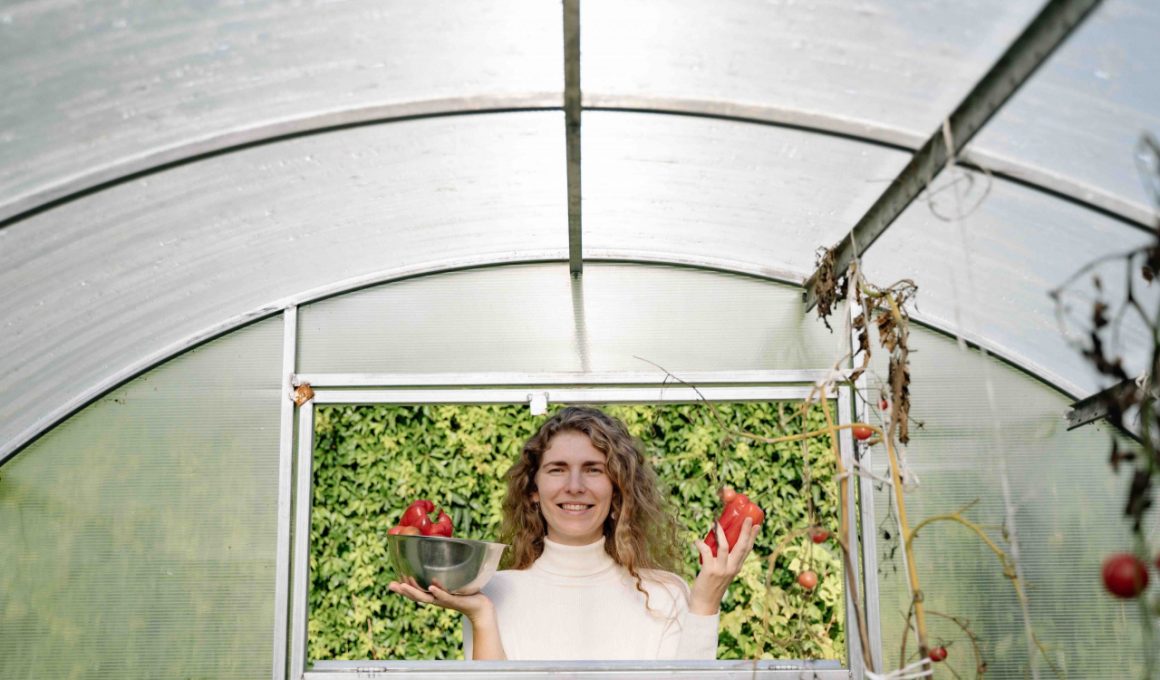 portable-greenhouses-all-you-need-to-know