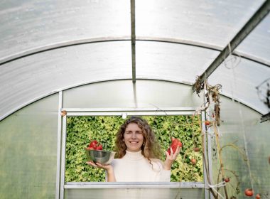 portable-greenhouses-all-you-need-to-know