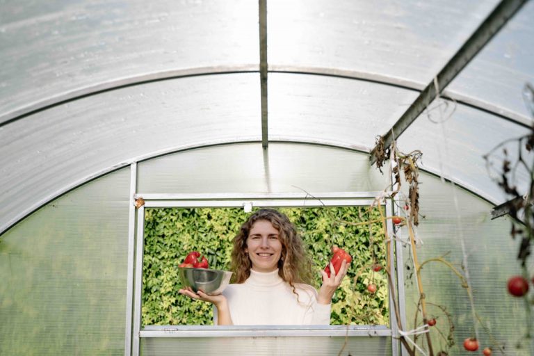 portable-greenhouses-all-you-need-to-know
