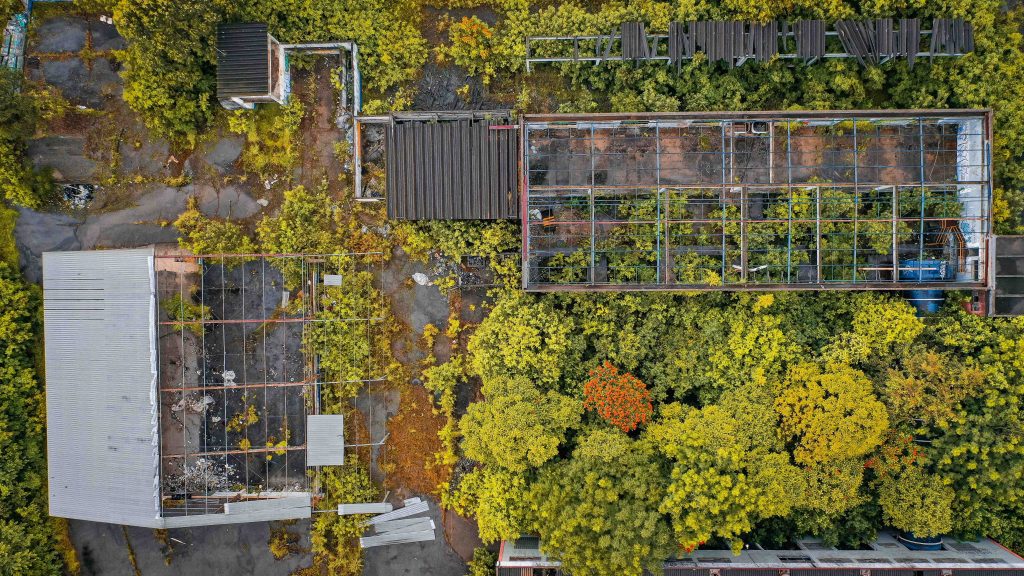 positioning-your-greenhouse