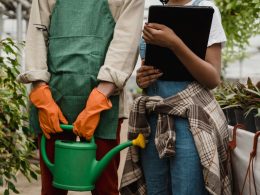 raised-bed-greenhouses-all-you-need-to-know