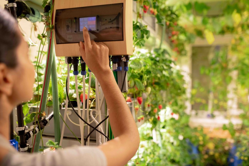 what-is-the-ideal-temperature-for-your-greenhouse