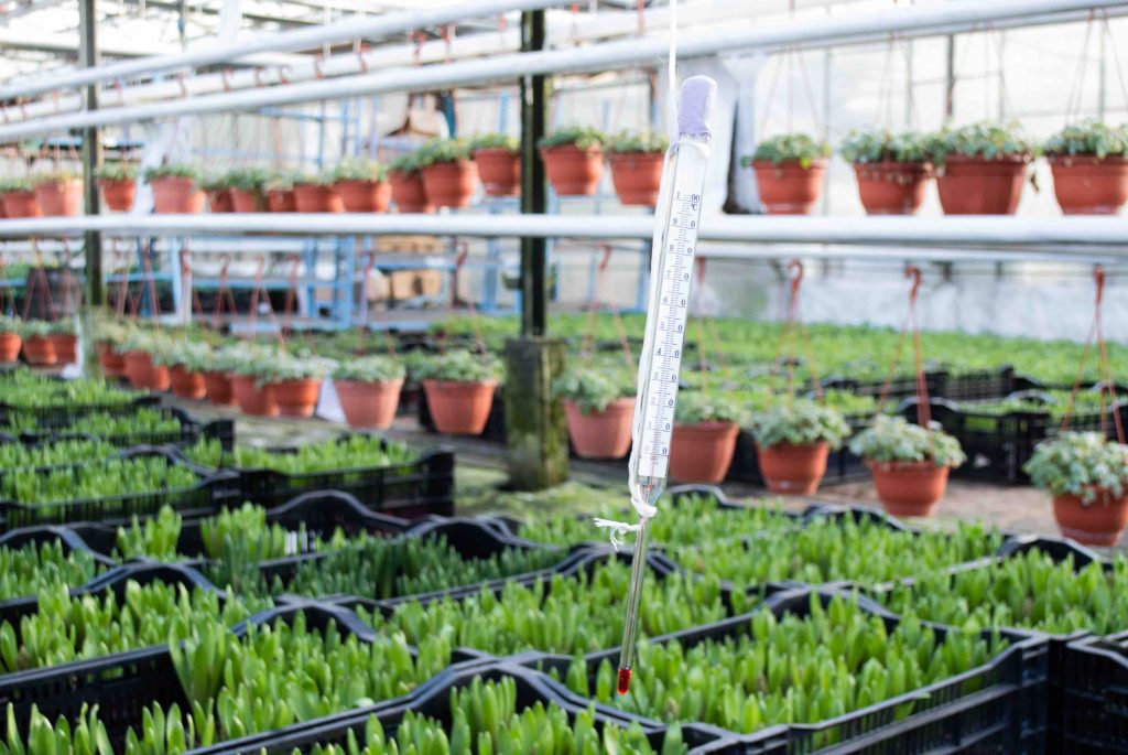 what-to-look-for-when-buying-a-greenhouse-thermometer and hygrometer