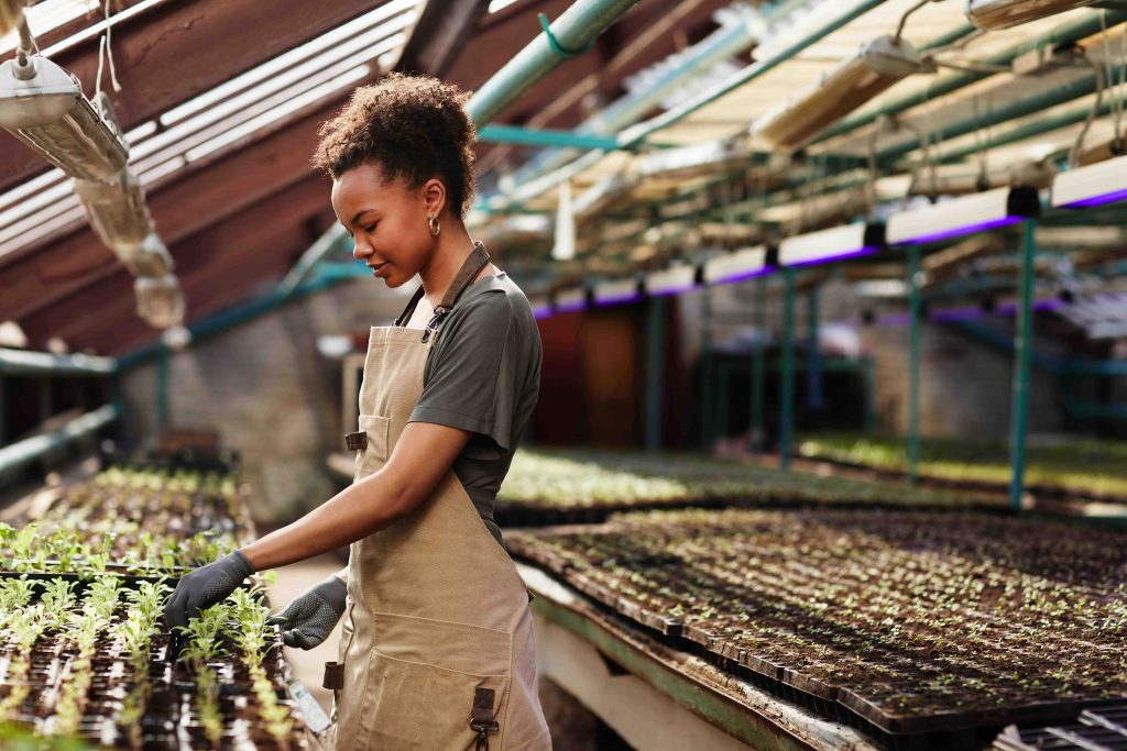 why-use-a-heat-mat-for-plants